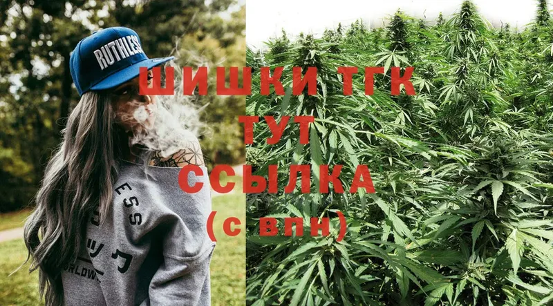 Бошки Шишки OG Kush  цены наркотик  Богородск 